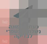 בושם PRADA - PARADOXE INTENSE