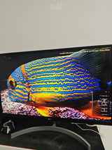 מסך 4K,  דגם  LG 27UL500-W