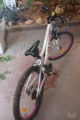 אופני הרים