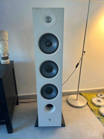 focal chora 826