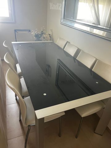 שולחן + 10 כיסאות