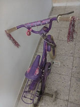 אופניים. מידה. 14