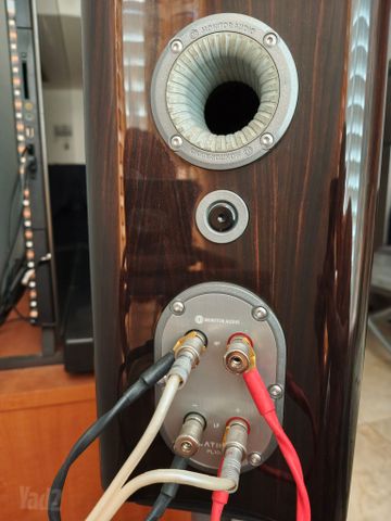 Monitor Audio platinum