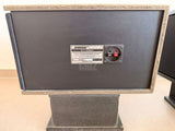 Bose מדגם 301 Series II