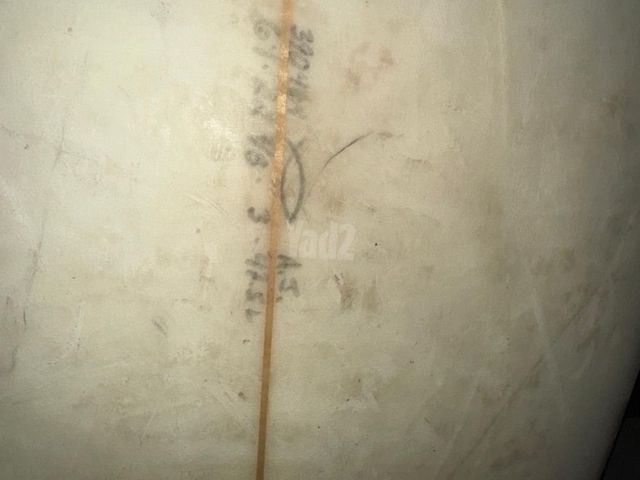 גלשן Al Merrick