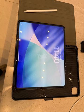 iPad 13 pro M4 256G