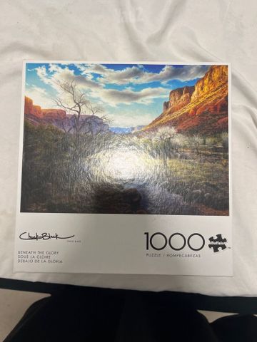 פאזל 1000 חלקים.