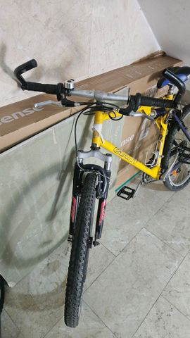 אופני GIANT מידה "26 (L)