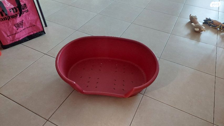 מיטה לכלב