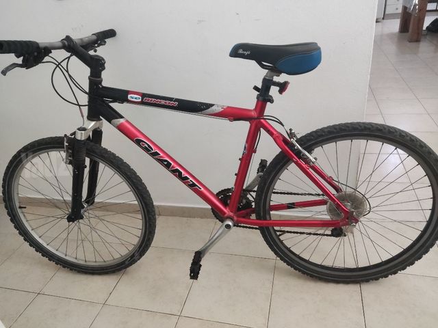 Giant26