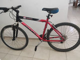 Giant26