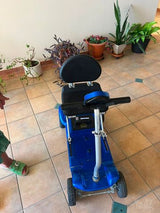 קלנועית