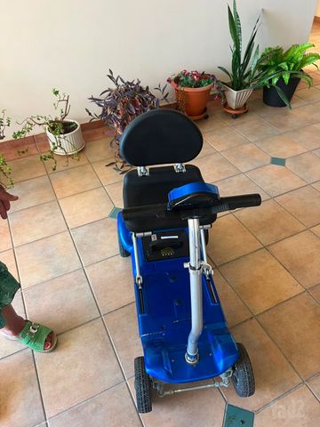 קלנועית