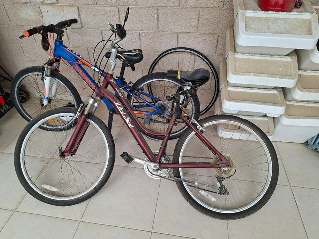 אופניים