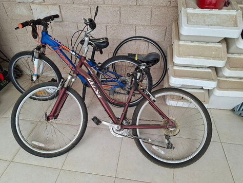 אופניים