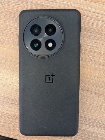 One plus 13