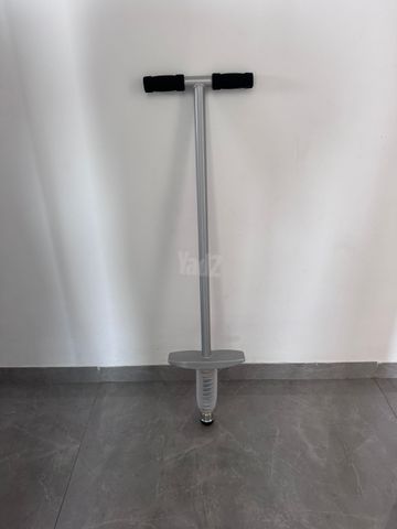 מקל פוגו