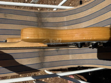 גיטרה בס Sterling ray 35