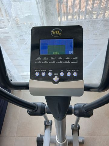 אלפטיקל