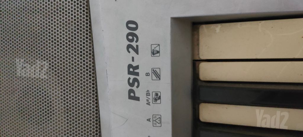 אורגנית