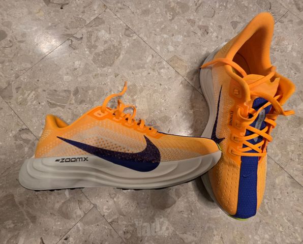 נעלי ריצה Nike Pegasus Plus