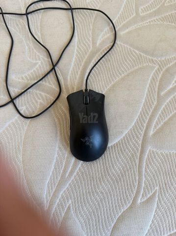 עכבר רייזר