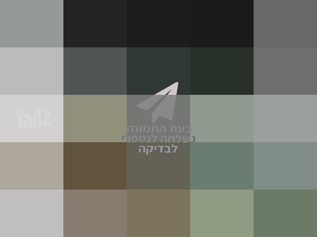 אקסבוקס