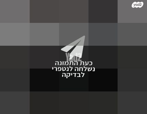 פסנתר אקוסטי ETERNA