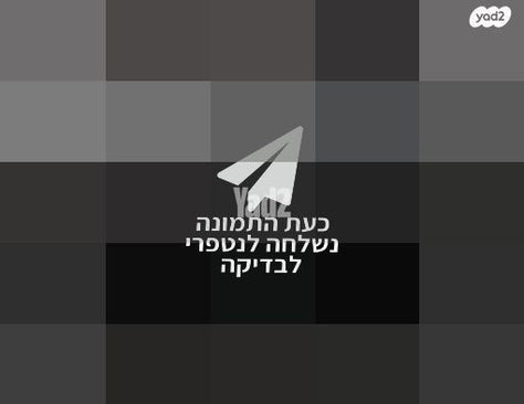 פסנתר אקוסטי ETERNA