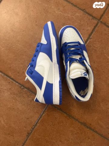 מידה 44 Nike dunk
