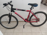 Giant 26