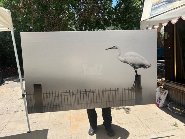 צילום מקורי