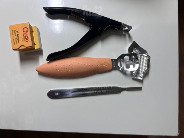 ציפורניים