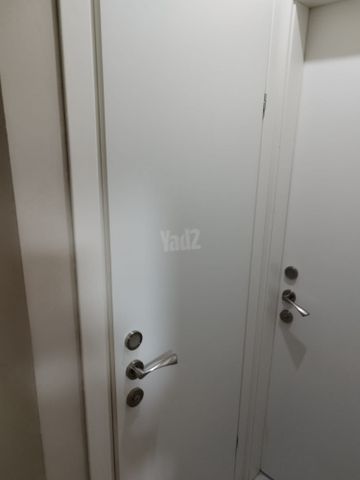 דלתות פנים