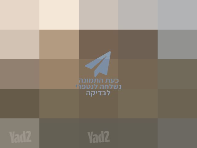 ספה מעור
