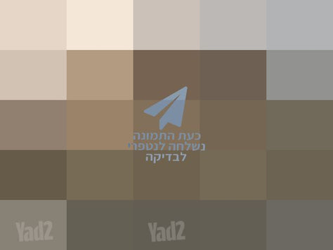 ספה מעור