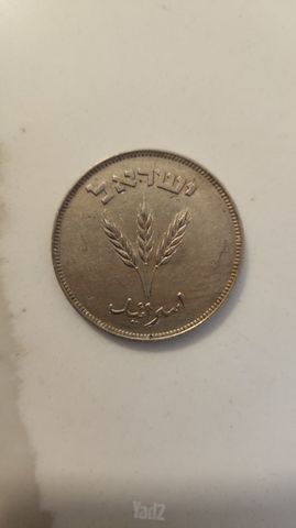 250 פרוטה