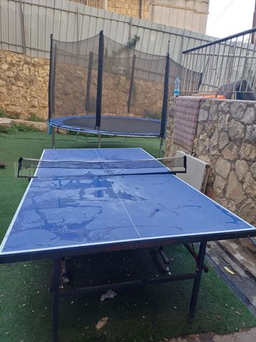 שולחן פינג פונג