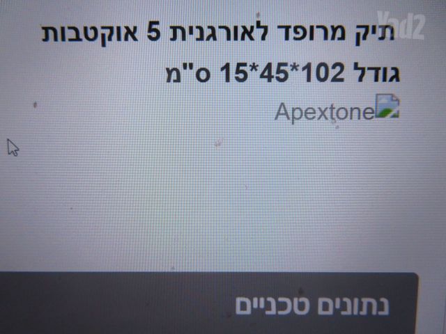 קייס