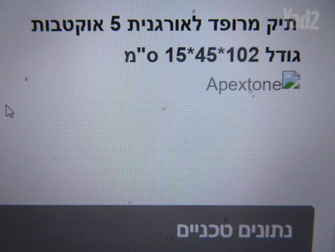 קייס