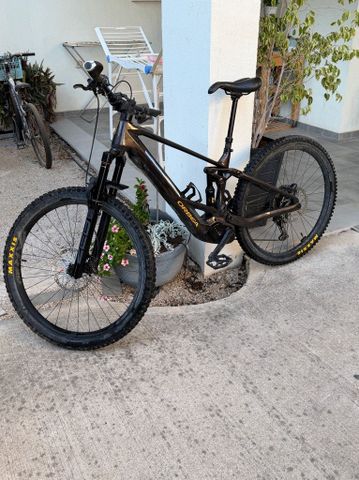 Orbea wild m20 2024