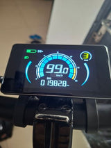 Hunter Pro 48V/25Ah+Magura MT4