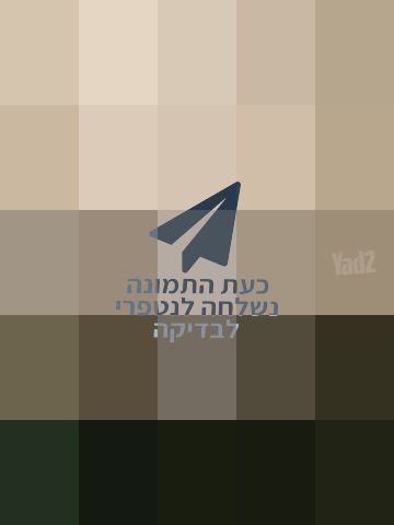 שטיח