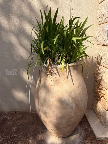 כד ענק