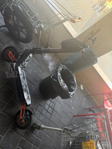אינוקים OX