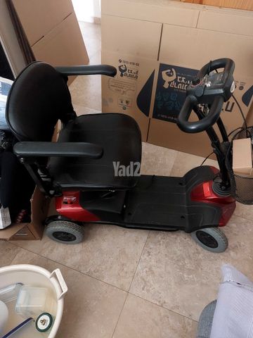 קלנועית