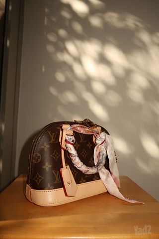 Louis Vuitton Alma BB Monogram