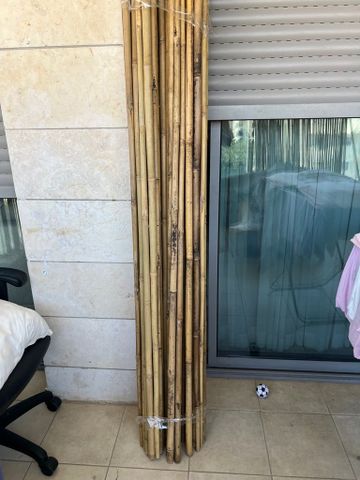 במבוק