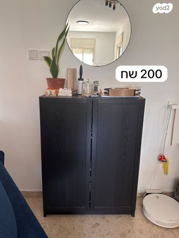 ארונית