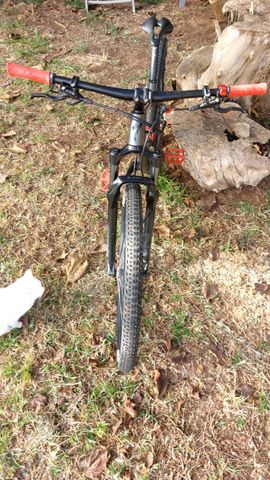 Specialized Rockhopper 29 M